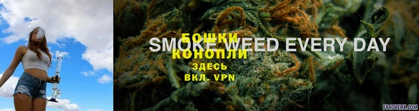 spice Арсеньев