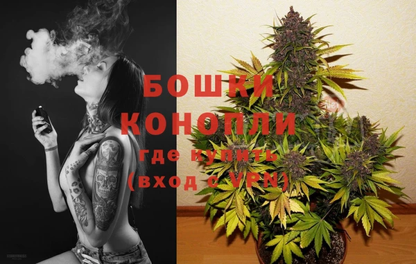 spice Арсеньев