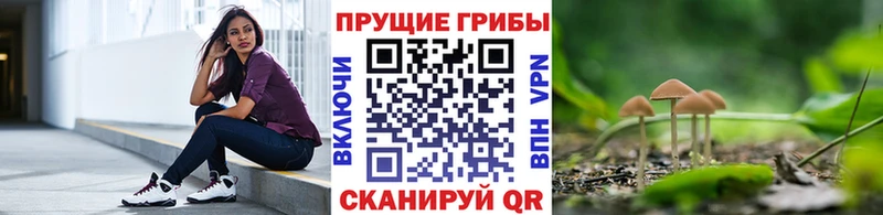 Псилоцибиновые грибы прущие грибы  где продают наркотики  МЕГА зеркало  Новоалтайск 